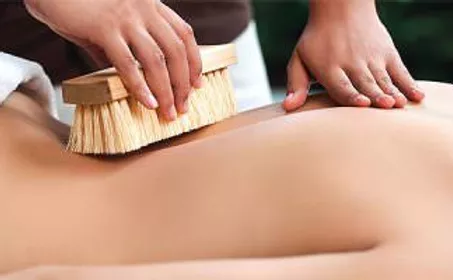 Dry Brushing - Healing Touch